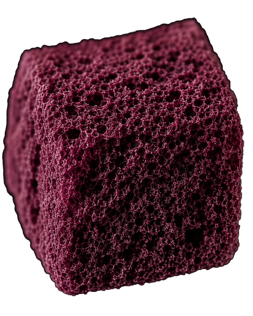 Close macro of a single freeze-dried jamun chunk, showing its dry porous structure