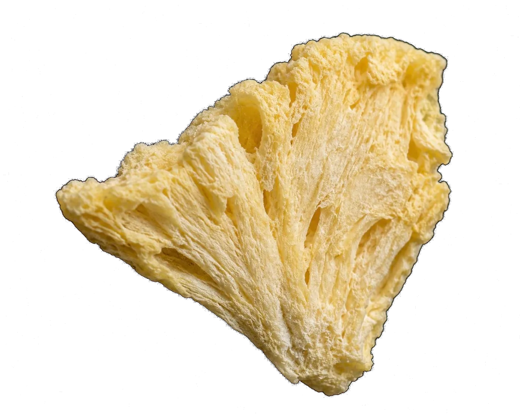 Close macro of a single freeze-dried pineapple piece